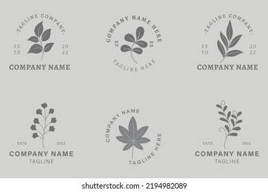 Minimalist Dark Gray Leaf Leaves Nature Logo Collection Style Gray Pastel Background.