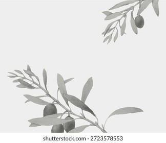 Diseño minimalista con ramas de olivo. Ramas de olivo en escala de grises, sencillas y elegantes. Perfecto para fondos, invitaciones o proyectos de temática natural. Vector del marco del borde.