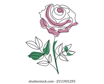  Diseño minimalista flor de rosa continua de una sola línea de dibujo de arte de Ilustración vectorial 