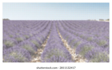 Minimalist digital artwork of sprawling lavender field under serene blue sky, rendered in pixelated style for modern aesthetic.