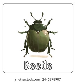 Minimalist digital drawing woodland beetle