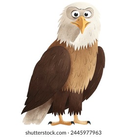 Minimalist digital drawing woodland eagle