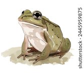Minimalist digital drawing woodland frog