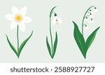 A minimalist digital illustration of three delicate spring flowers: daffodil, snowdrop, and lily of the valley. The elegant floral design features soft pastel tones, making it ideal for botanical prin