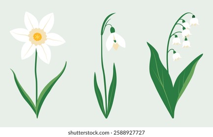 A minimalist digital illustration of three delicate spring flowers: daffodil, snowdrop, and lily of the valley. The elegant floral design features soft pastel tones, making it ideal for botanical prin