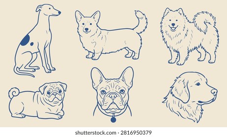 Minimalist dog breed illustration featuring six stylized line drawings in blue outlines on beige background showing greyhound corgi samoyed pug french bulldog and retriever