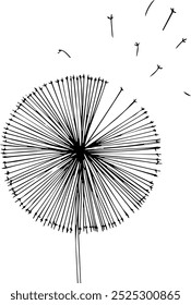 minimalist drawing style using straight or curved lines to create images without shading or color.