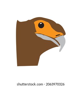 minimalist eagle logo or bird logo