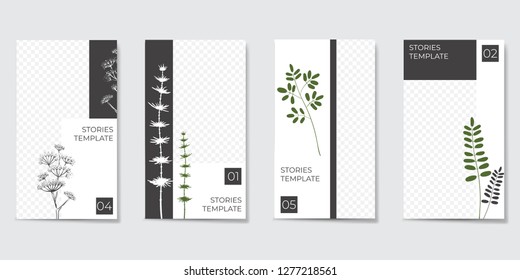 Minimalist editable template for Stories and Streaming. With trendy geometric shapes in black and white color and silhouettes of plants. Vector illustration