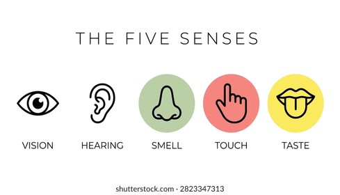 A minimalist educational infographic illustrating the five human senses with simple icons and text labels on a white background.