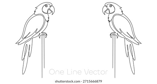 A minimalist and elegant continuous line drawing of a parrot. This simple vector illustration captures the essence of the tropical bird, perfect for various design projects. Vector illustration