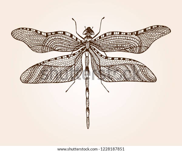 dragonfly drawings designs