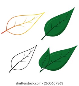 A minimalist and elegant leaf icon with white background, Perfect for eco-friendly and nature-related designs. Ideal for environmental projects, botanical themes, and organic branding
