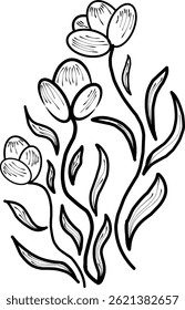 Minimalist and elegant tulip composition, created in hand-drawn line art style. Perfect for nature-themed posters, stickers, and editorial layouts
