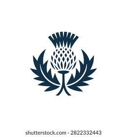 A minimalist and elegant vector illustration of a Scottish thistle, the national floral emblem of Scotland, featuring sharp leaves and a geometric bloom.