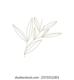 Minimalist Feminine Botanical Flower Beauty Line Plant Logo, Design Vector illustration