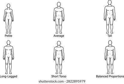 Minimalist flat color vector set of male and female body proportion figures featuring tall petite and average shapes