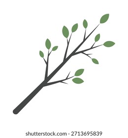Una ilustración de diseño plano minimalista de una rama de árbol con hojas verdes frescas. Esta obra de arte de Vector es perfecta para la naturaleza, el medio ambiente, el crecimiento y el diseño orgánico.