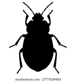 Minimalist flat design vector illustration of a black beetle insect, perfect for educational materials, nature-themed designs, infographics, and scientific presentations.