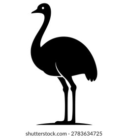 Minimalist flat design vector illustration of a black ostrich standing alone, ideal for wildlife education, children's books, logos, and modern graphic design projects.