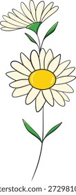 Minimalist flat design of a white daisy blossom with a yellow center. Spring marguerite flower icon for logo, wedding, or nature decor.