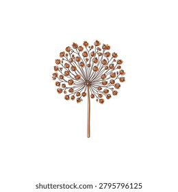 Minimalist flat illustration of a dried allium flower seed head in a continuous line style.