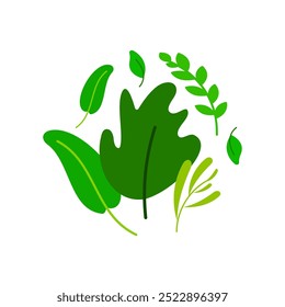 Conjunto de ilustración plana minimalista de hoja verde vibrante, ideal para proyectos ecológicos, temas botánicos y resaltar ingredientes orgánicos o naturales en el empaque de la marca del producto