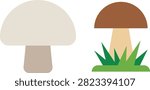 Minimalist flat illustration of two different mushrooms with grass mushroom botanical mycology