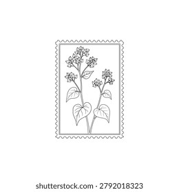 Minimalist flat line art graphic of buckwheat stems and heart shaped leaves inside a scalloped perforated stamp border.