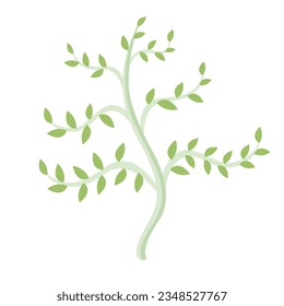 Minimalist flat summer tree with green little leaves on transparent background. Organic forest concept. Vector simple illustration.