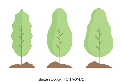 Minimalist Flat Tree Set on the White Background