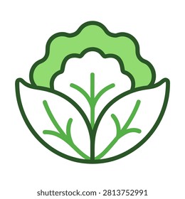 minimalist flat vector  icon of lettuce outline  icon on white background 