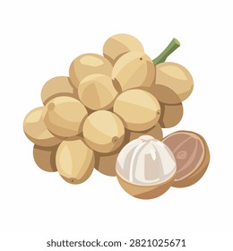 Minimalist flat vector illustration of a fresh langsat fruit cluster, with one peeled longkong fruit showing pulp segments.