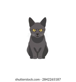 Minimalist Flat Vector Illustration of a Grey Korat Thai Cat with Yellow Eyes on White Background