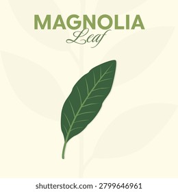 Minimalist flat vector illustration of a single green magnolia lea