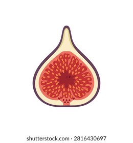 Minimalist Flat Vector Illustration of a Sliced Half Fig Fruit Isolated on a White Background
