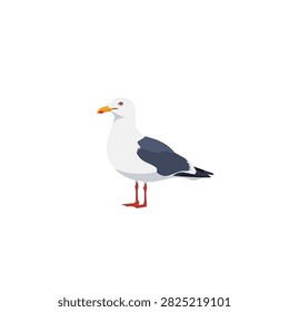 Minimalist Flat Vector Illustration of a Standing Seagull Bird Isolated on a Clean White Background