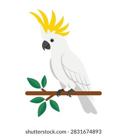 Minimalist flat vector illustration of a sulphur crested white cockatoo with yellow feathers sitting on a leafy branch isolated on white background.