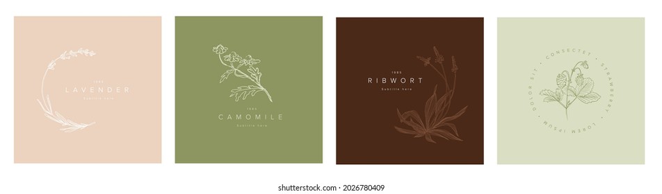 Minimalist floral emblem sign frames template collection made from simple flowers and leafs for wedding invitations product print or emblem sign