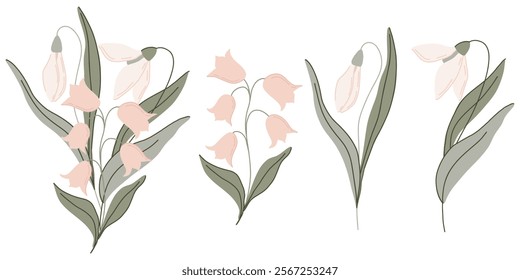 Minimalist floral illustration of spring flowers with soft pastel tones. Includes delicate bell-shaped blooms, snowdrops, leaves, and elegant stems. Ideal for stationery, decor, or digital designs