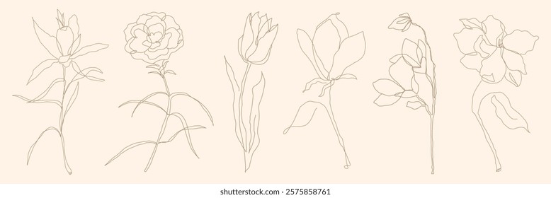 Minimalist floral line art featuring delicate flowers. Simple line art flowers on a beige background. Elegant floral line art in a minimalist style. Spring illustrations, vector set.