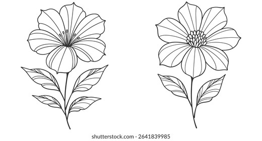 Minimalist Floral Line Art, Hand Drawn Single Flower Illustration