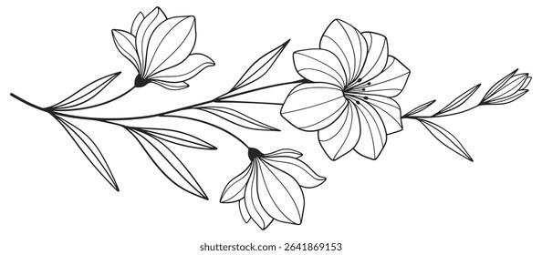 Minimalist Floral Line Art, Hand Drawn Single Flower Illustration