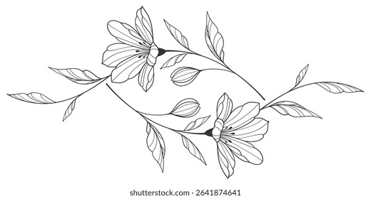 Minimalist Floral Line Art, Hand Drawn Single Flower Illustration