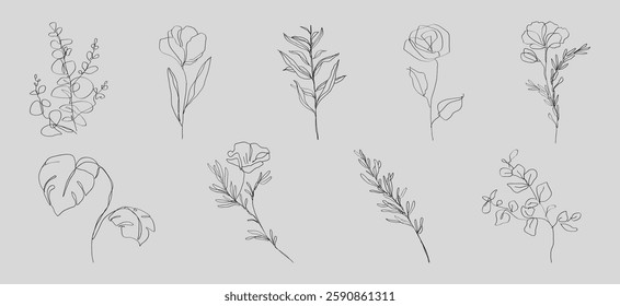 Minimalist floral line art with various flowers and leaves. Delicate line art designs showcase elegant floral and leaf patterns in a minimalist style. Spring illustrations, vector set.