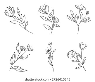 Minimalist flower branch collection. Vector hand drawn outline of plants and leaves for nature decoration element