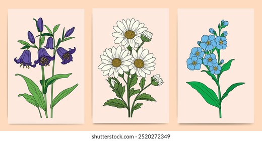 Minimalist flower collection of Forget Me Not, Daisy and Common Bluebell - Hand-Drawn Botanical Illustrations for Prints, Flyers, Banners, Invitations, Branding Design, Covers And Home Decoration