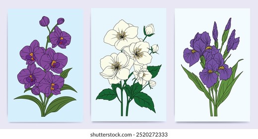 Colección de flores minimalistas de Hellebore, Iris y Orquídeas - Ilustraciones botánicas dibujadas a mano para estampados, volantes, Anuncios, invitaciones, diseño de marca, cubiertas y decoración del hogar