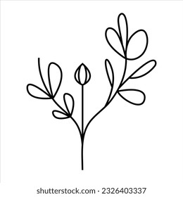 Minimalist Flower Elements: Delicate Line Art Decorative Floral Illustration
