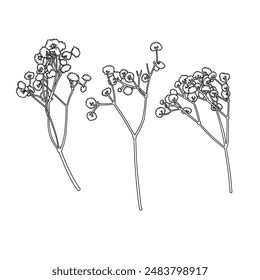 Minimalist Flower Illustration, Baby's Breath, Line art, Monochrome, Trendy botanical elements. Hand drawn line branches and blooming. Wedding elegant wildflowers for invitation save the date card